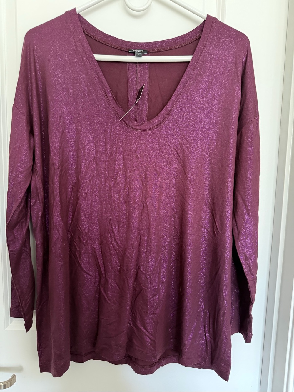 New Women’s Express Shimmery Long Sleeves Top Size Medium